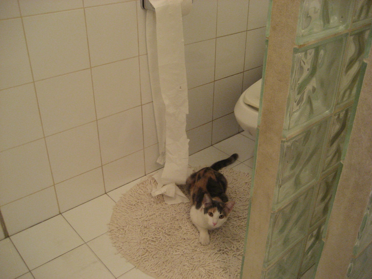 双线破局,日本队战术碾压与马琳纪录之夜,亚洲球类运动新纪元已至