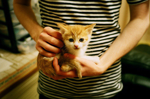 许昕带领中国队力克日本队，传奇之战背后的细节与情感