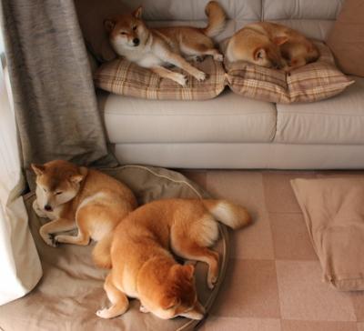 命运之轮于冷峻中转动，雷诺精密逆袭，诺里斯划破长空