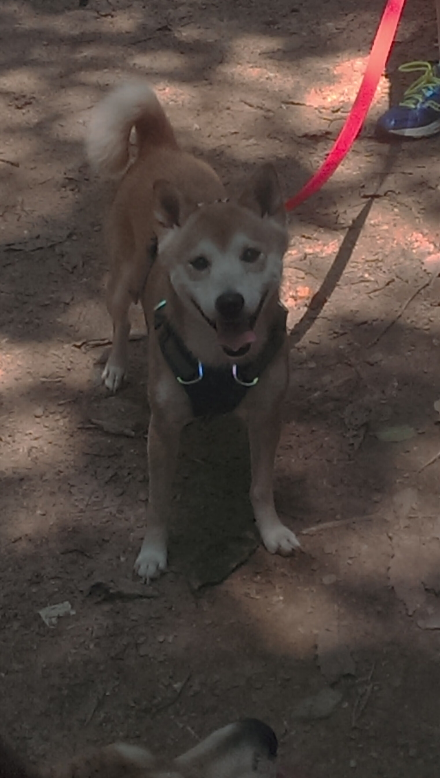 冰与火之间,当鲁德用联合杯的灼热,融化法网的寒冬