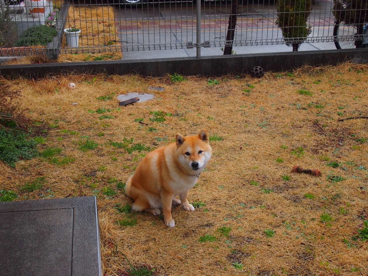 火箭连珠炮攻势彻底压制广厦，小贾伦变身关键先生定乾坤