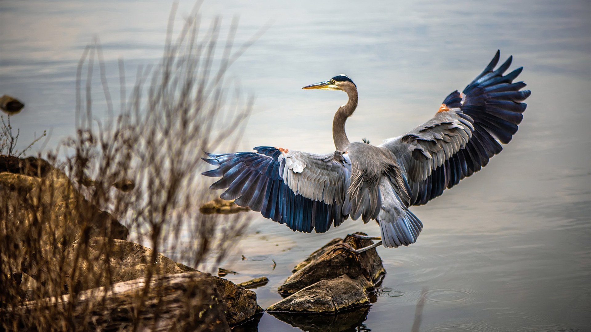 安菲尔德闪电战,红军单节风暴撕裂马赛,巴斯托尼式统治铸就完美之夜