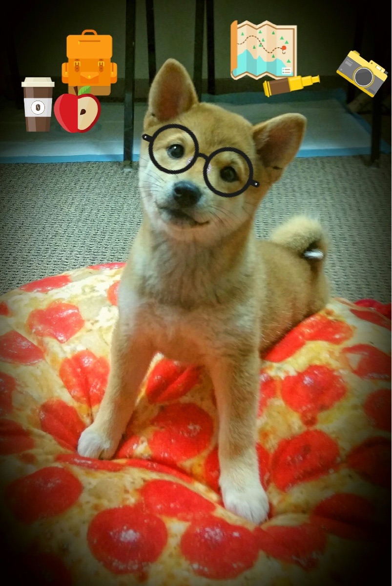 联盟唯一能解读胜利密码的人,詹姆斯关键爆发破解猛龙全面压制快船之谜