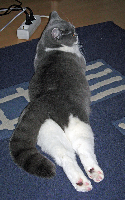 骑士制霸火箭，小贾伦关键节点连续得分难挽败局