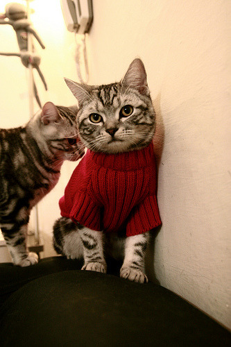 攻陷维京海盗的黄昏，福登如何撕开挪威的铁壁防线